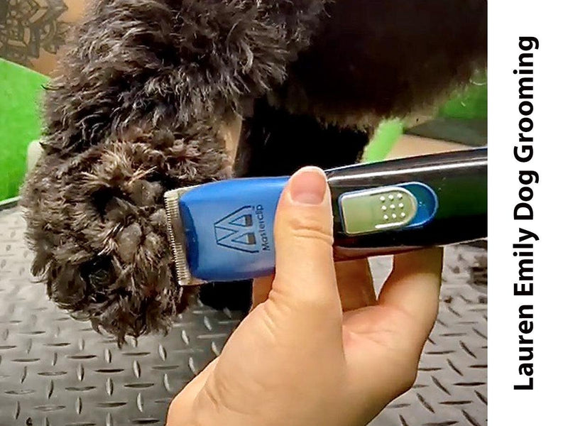 Essential | Blue Cordless Home Grooming Dog Clipper Set - Masterclip