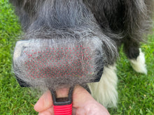 Load image into Gallery viewer, Essentials Pet Grooming Set - Masterclip