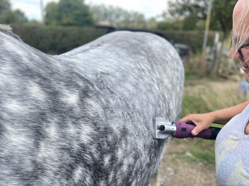Ex-Demo Cordless HD Roamer Horse Clipper - Masterclip
