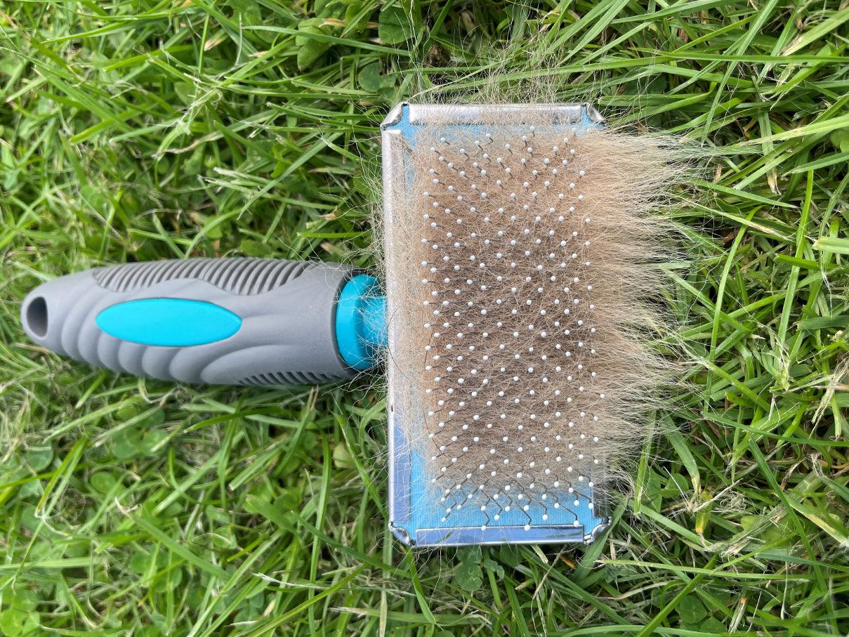 Plastic 2024 dog brush