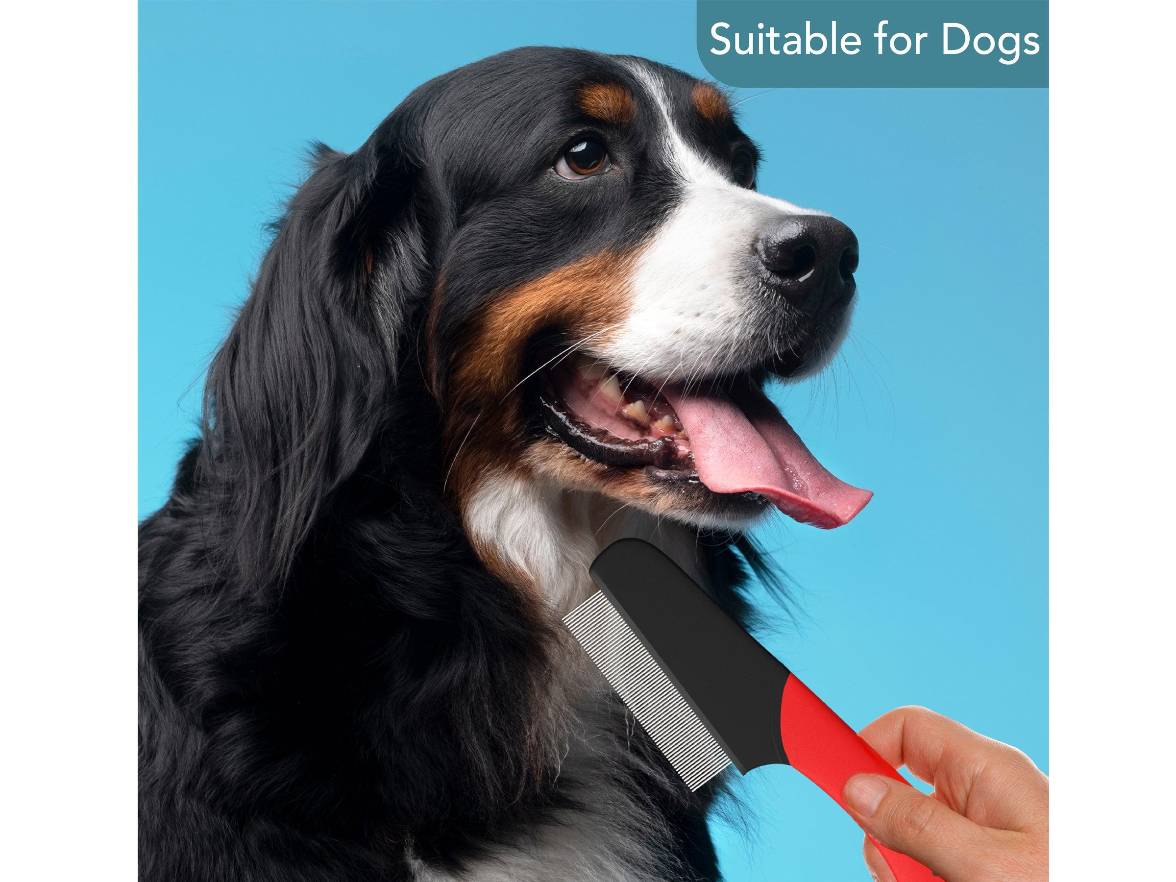 Flea brush hot sale for dogs