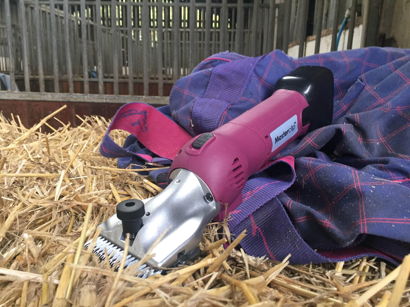 Cordless HD Roamer in a Stable