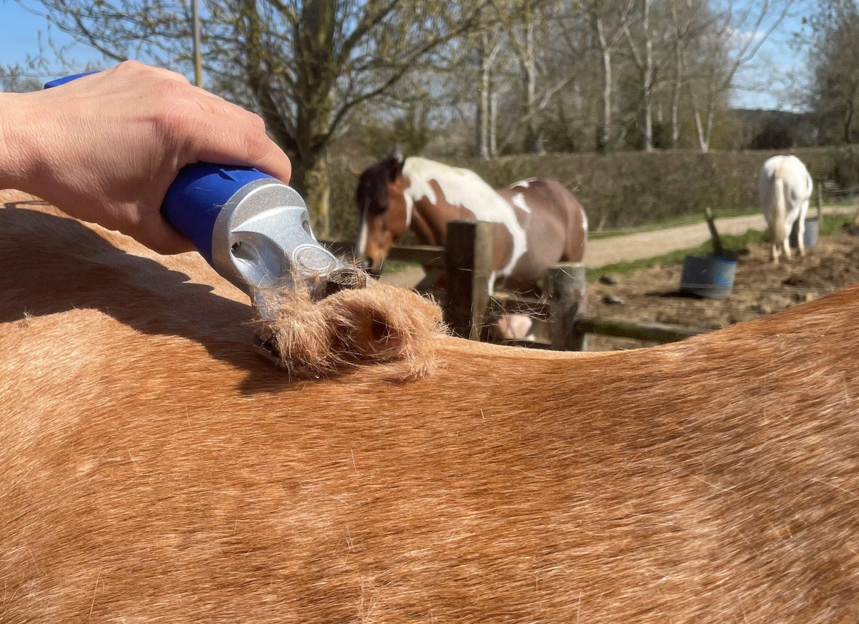 Hunter Show Cattle Clipper with 1 x 1.5mm A2 Blade - Masterclip