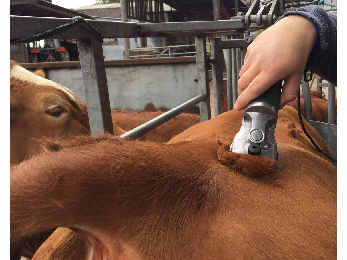 Multiblade Option for Hunter Dirty Cattle Clipper-Masterclip