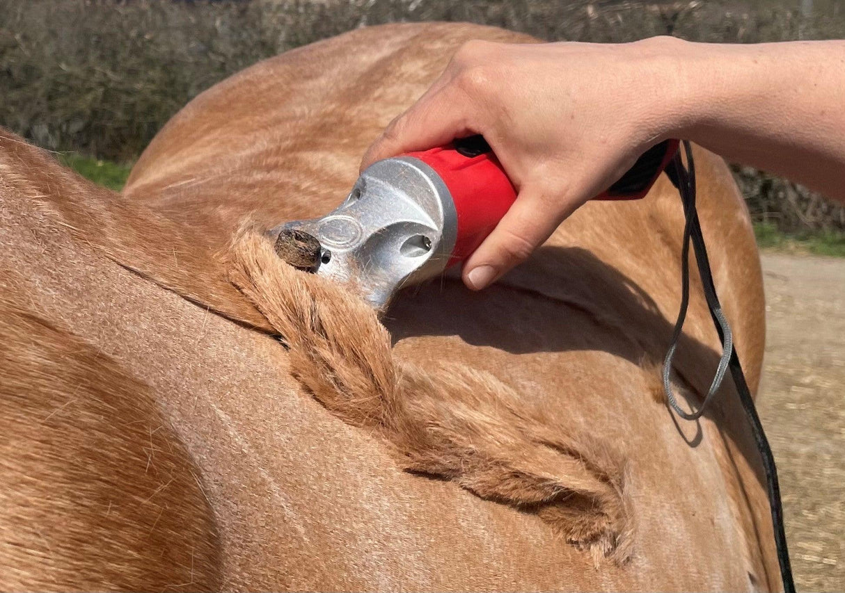 Multiblade Option for Hunter Show Cattle Clipper - Masterclip
