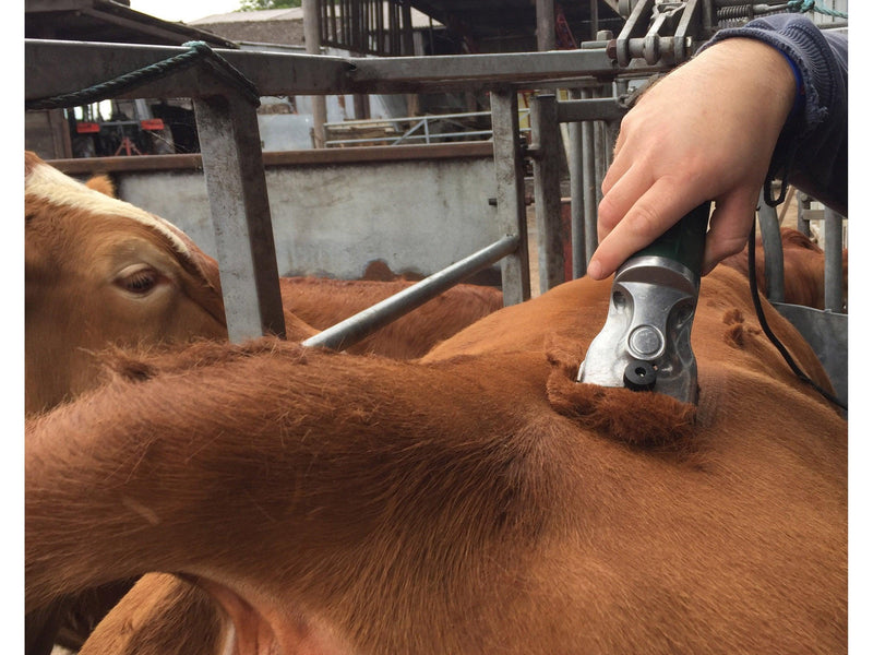 Multiblade Option for Hunter Show Cattle Clipper-Masterclip