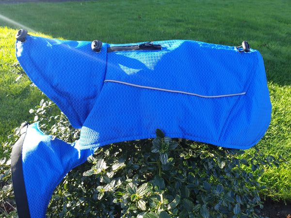 Warehouse Clearance - Sample Dog Coat - Padded, Warm & Showerproof- LARGE