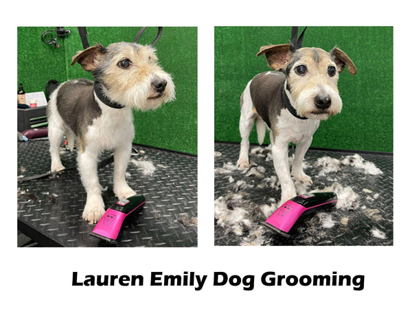 Pink Showmate II Cordless Dog Trimmer - Masterclip