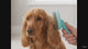 Cocker Spaniel Super Slicker Brush with Flexi-Pins