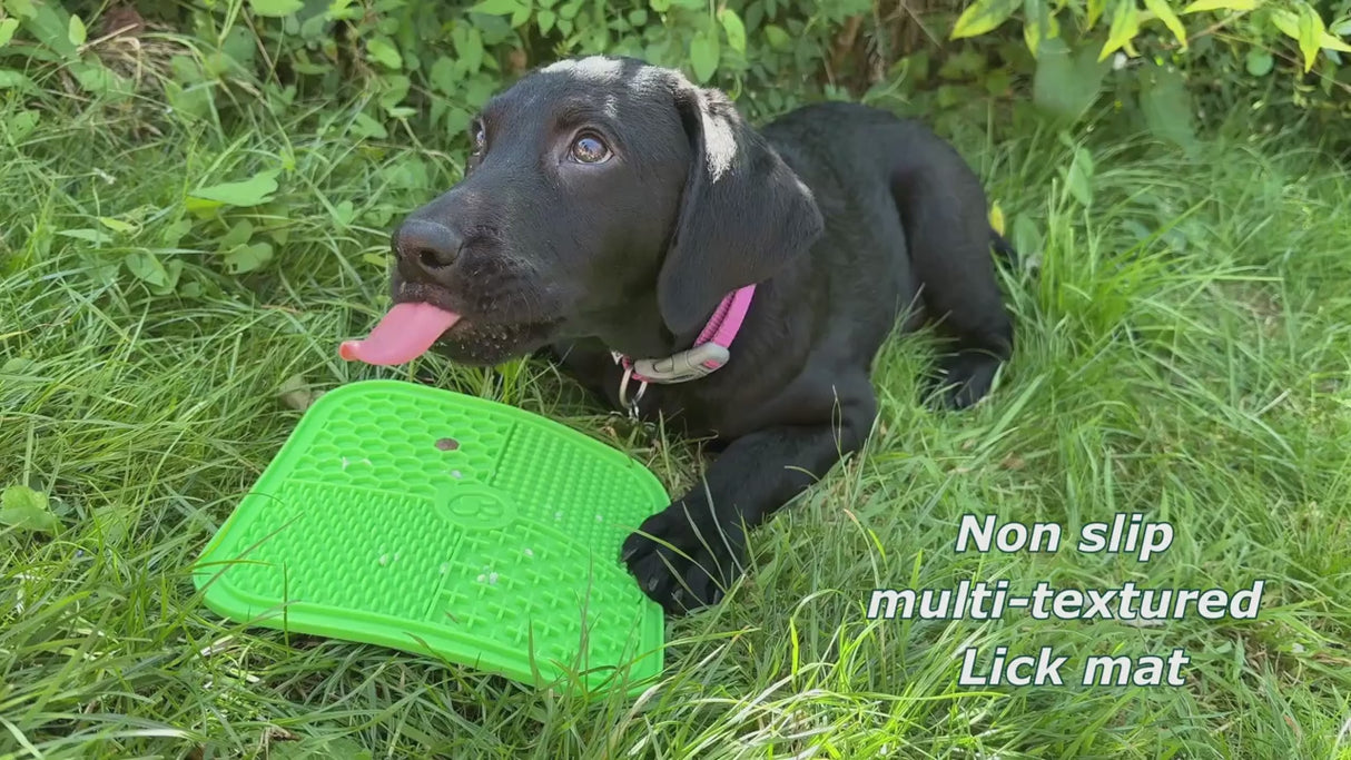 Large Anxiety Reducing Slow Feeding Lick Mat - Green