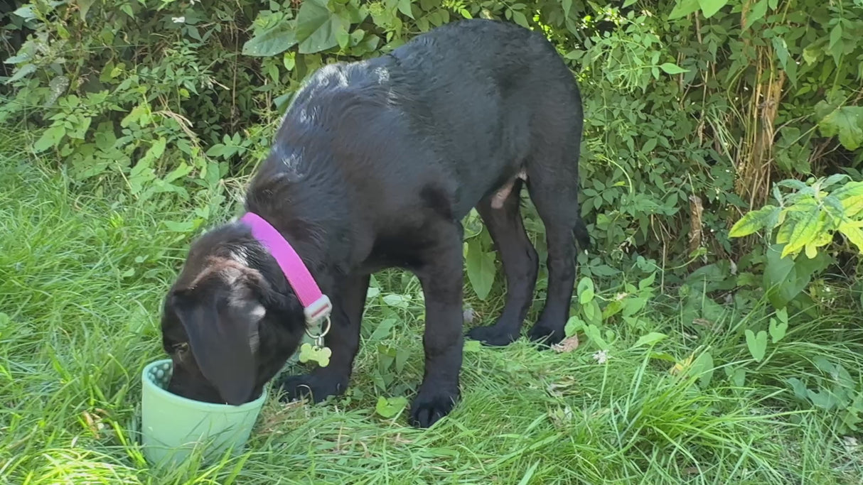 Anxiety Reducing Slow Feeding Lick Bowl - Small