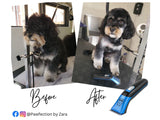 Professional | Blue Cordless Home Grooming Dog Clipper Set - Masterclip