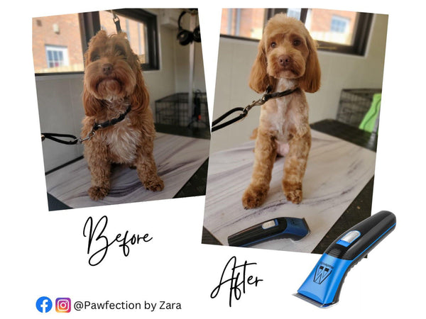 Professional | Silver Cordless Home Grooming Dog Clipper Set - Masterclip