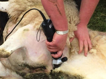 Load image into Gallery viewer, Ram 3000 Multihead Sheep, Cattle &amp; Horse Clipper-Masterclip