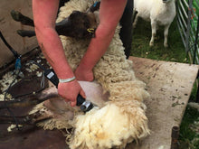 Load image into Gallery viewer, Ram 3000 Sheep Shearing Machine-Masterclip