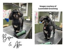 Load image into Gallery viewer, Shih Tzu Clipper Set - Cordless - Masterclip