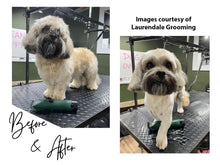 Load image into Gallery viewer, Shih Tzu Clipper Set - Cordless - Masterclip