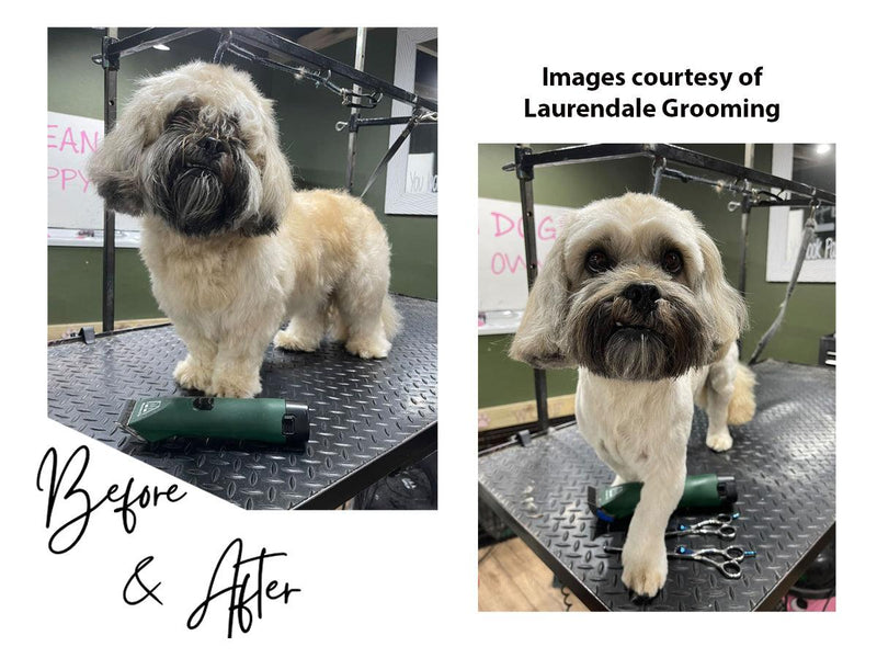 Shih Tzu Clipper Set - Cordless - Masterclip