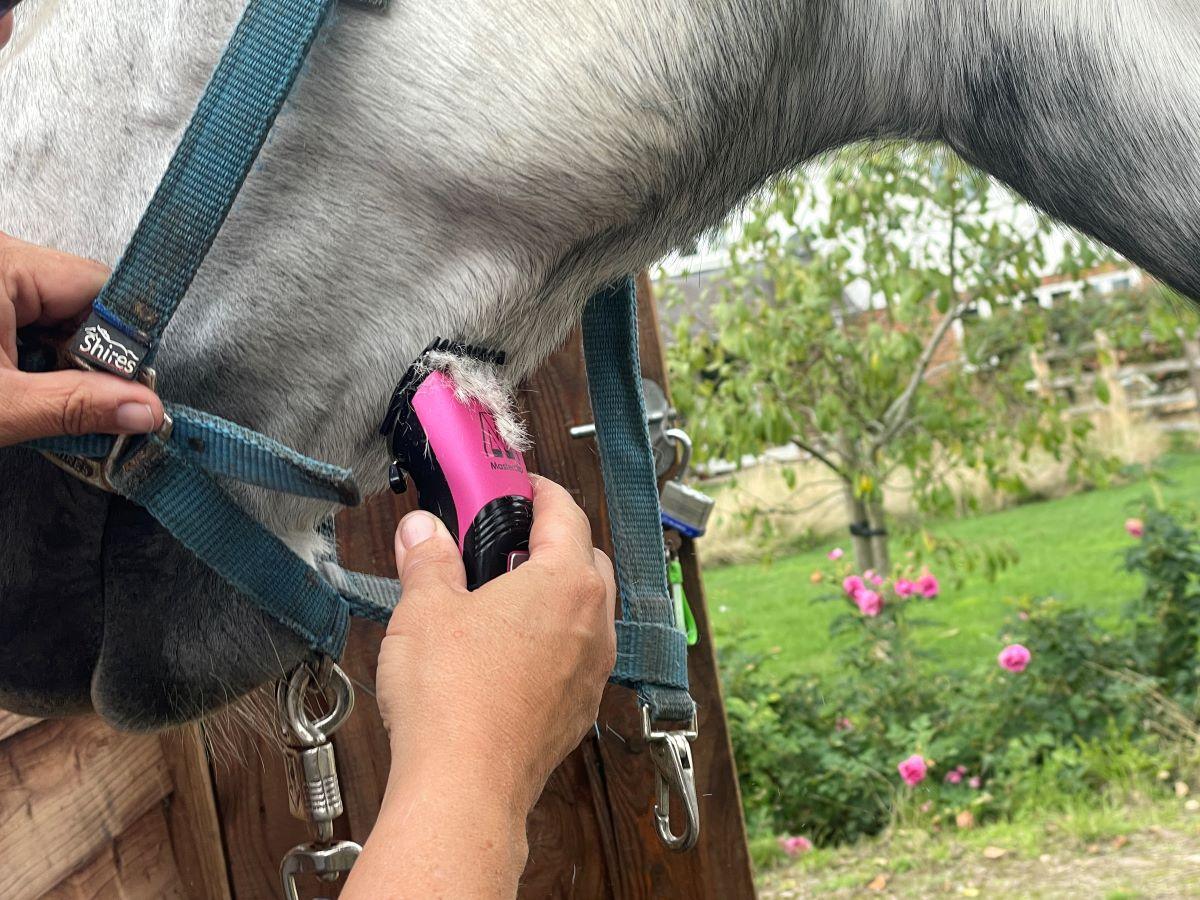 Showmate II Cordless Horse Trimmer - Pink - Masterclip