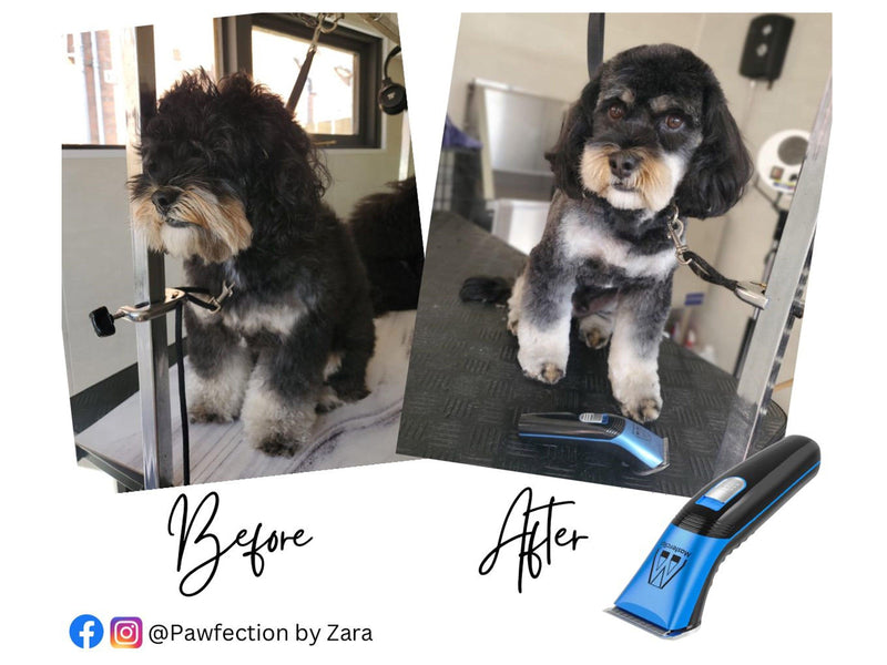 Silver Showmate II Cordless Dog Trimmer - Masterclip