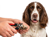 Springer Spaniel Nail Clippers | LARGE