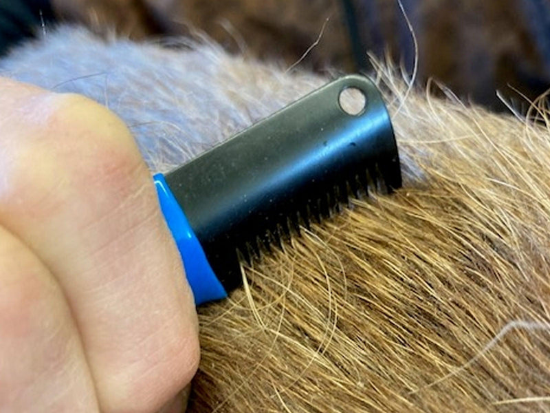 Stripping Knife for Coarse Coats - Masterclip