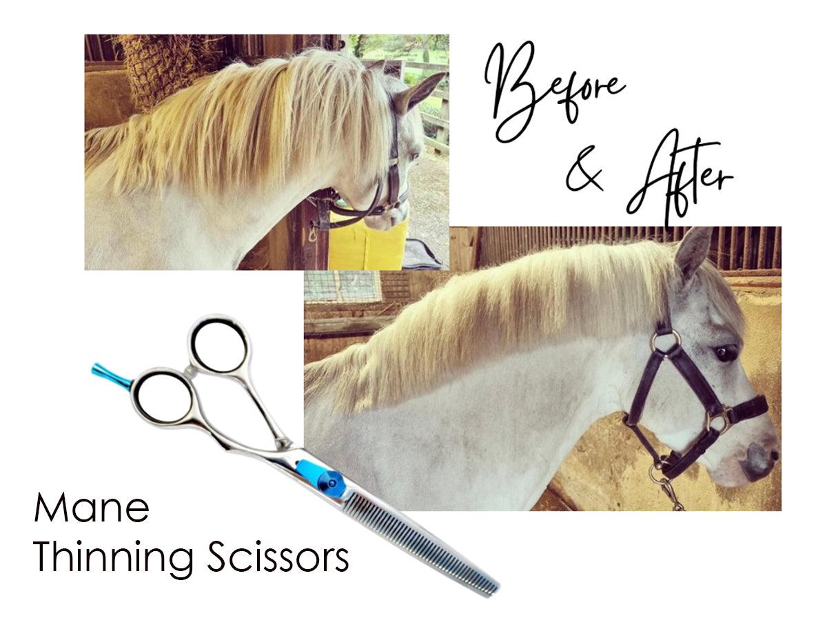 Thinning Scissors - Ideal for Feathers, Mane & Tail - Masterclip