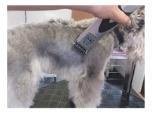 Load image into Gallery viewer, Ultimate Dog Clippers Set | Mains Powered Pedigree Pro with 9 comb guides - Masterclip