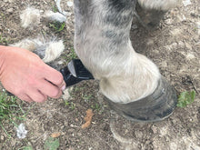 Load image into Gallery viewer, Showmate II Cordless Horse Trimmer - Blue