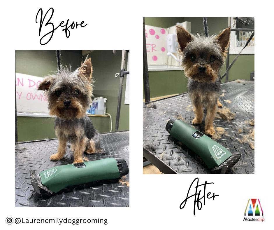 Yorkshire Terrier Clipper Set Cordless