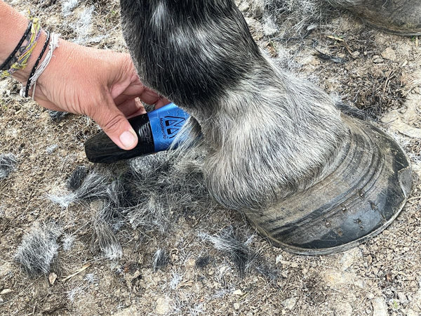 Ex-Demo Showmate II Cordless Horse Trimmer - Blue